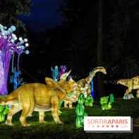 Photos : Thoiry Lumières Sauvages 2020-2021