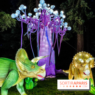 Photos : Thoiry Lumières Sauvages 2020-2021