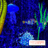 Photos : Thoiry Lumières Sauvages 2020