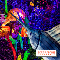 Photos : Thoiry Lumières Sauvages 2020 océan