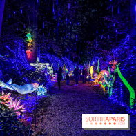 Photos : Thoiry Lumières Sauvages 2020 océan