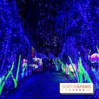 Photos : Thoiry Lumières Sauvages 2020