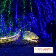 Photos : Thoiry Lumières Sauvages 2020