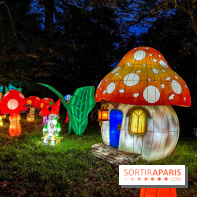 Photos : Thoiry Lumières Sauvages 2020