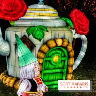 Photos : Thoiry Lumières Sauvages 2020