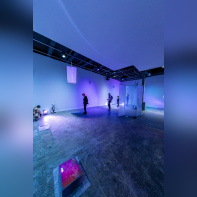 Exposition Anticorps au Palais de Tokyo