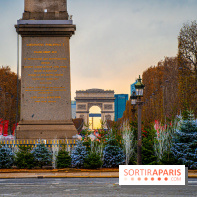 Photos : Illuminations et sapins de Noël Place de la Concorde