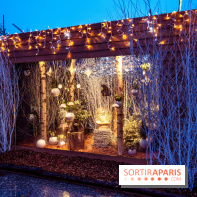 Photos : Village et illuminations de Noël de l'Hôtel de Ville 2020