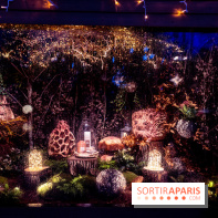 Photos : Village et illuminations de Noël de l'Hôtel de Ville 2020