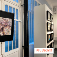 Dans les rues de Paris, l'exposition à la Galerie Sakura