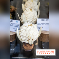 Photos : Wonderland Pâtisserie 