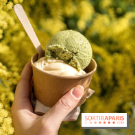 Photos : Wonderland Pâtisserie 