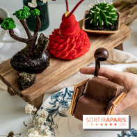 Photos : Wonderland Pâtisserie 