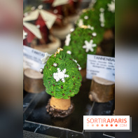 Photos : Wonderland Pâtisserie 