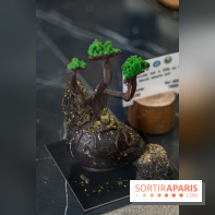 Photos : Wonderland Pâtisserie 