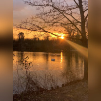 Rosa Bonheur de la Porte Jaune, les photos