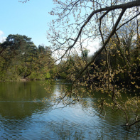 Rosa Bonheur de la Porte Jaune, les photos