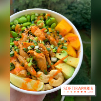 Pokawa - Veggie Chicken Bowl