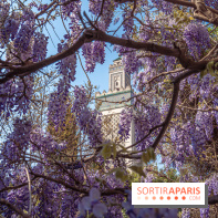 La Mosquée de Paris et son jardin en fleurs