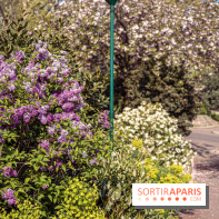 Jardin Tino Rossi Paris