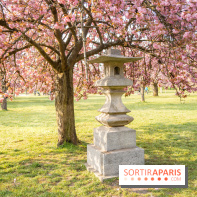 Le Parc de Sceaux et ses cerisiers en fleurs