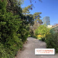 Les Arènes de Lutèce à Paris