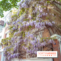 La Cité Florale à Paris