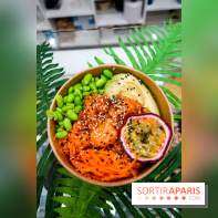 Pokelife, les photos