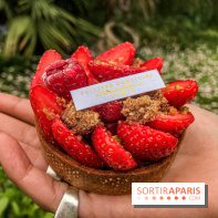Tartes à la fraise Conticini