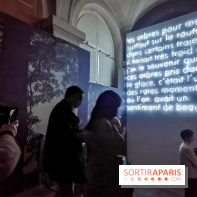 Nous vous aimons, Madame : l'expo hommage à Simone Veil à l'Hôtel de Ville de Paris - nos photos