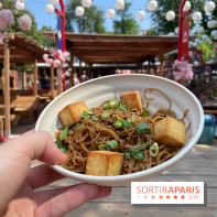 Hanami Paris, Ła terrasse éphémère du Trocadéro - IMG 4492
