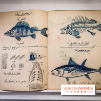 Uderzo, comme une potion magique : l'exposition hommage au Musée Maillol - nos photos