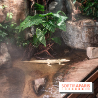 L'Aquarium Tropical de la Porte Dorée