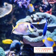 L'Aquarium Tropical de la Porte Dorée