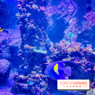 L'Aquarium Tropical de la Porte Dorée