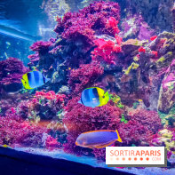 L'Aquarium Tropical de la Porte Dorée