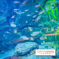 L'Aquarium Tropical de la Porte Dorée