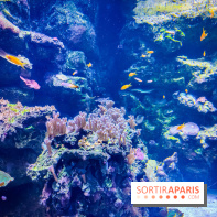 L'Aquarium Tropical de la Porte Dorée