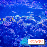 L'Aquarium Tropical de la Porte Dorée