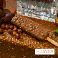Frissons d'été, les glaces bâtonnets de la Maison du Chocolat par la Glacerie 2021
