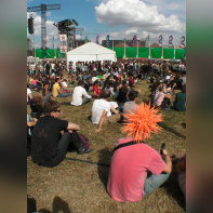 Rock en Seine 2009 -
Teinture ratée