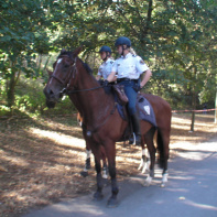 Rock en Seine 2009 -
La police des amazones