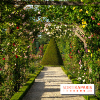 Le Parc de Bagatelle - A7C00132