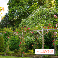 Le Parc de Bagatelle - A7C00126