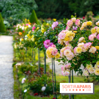 Le Parc de Bagatelle - A7C00116