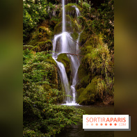 Le Parc de Bagatelle - cascade