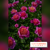 Le Parc de Bagatelle