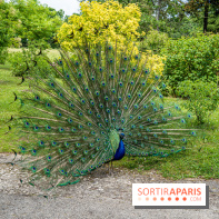 Le Parc de Bagatelle