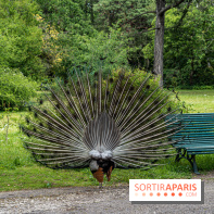 Le Parc de Bagatelle