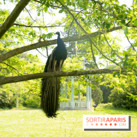 Le Parc de Bagatelle